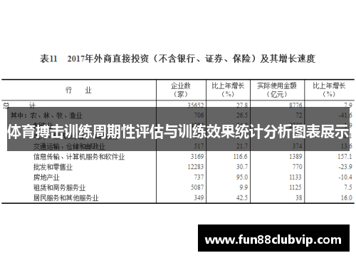 体育搏击训练周期性评估与训练效果统计分析图表展示
