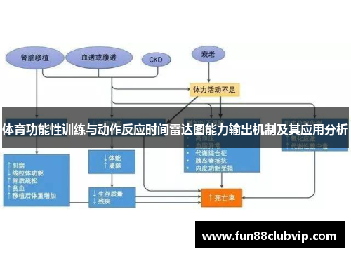 体育功能性训练与动作反应时间雷达图能力输出机制及其应用分析